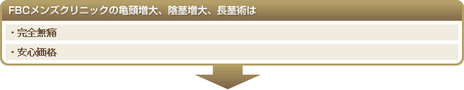 FBC�����Y�N���j�b�N�̉A�s����E�T������A���s�p�́A