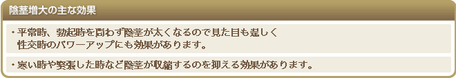陰茎増大の主な効果