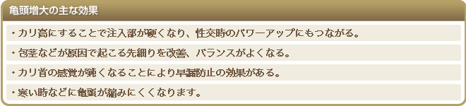 亀頭増大の主な効果